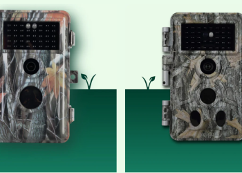 Blazevideo et son expertise dans l’univers de la surveillance et de l’observation