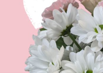 Clare Florist: Beautiful Bouquets for Every Occasion