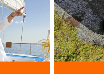 Butler Technik: Precision and Performance in Automotive Diagnostics