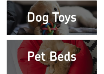 Back to the Pets: A Comprehensive Guide to Unique Pet Care Products