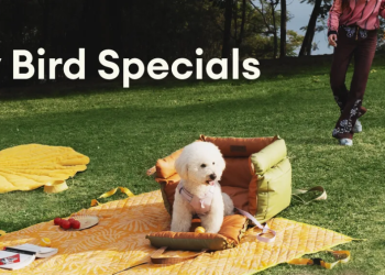 Funny Fuzzy: A Unique Blend of Comfort and Fun