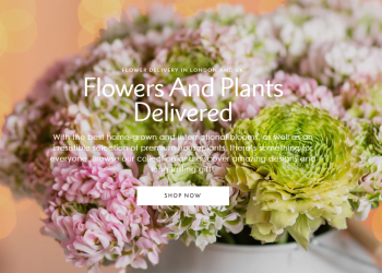 Flowers and Plants Co: Your Source for High-Quality Floral and Plant Products