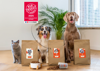 JustRussel : L’Art du Design et de l’Innovation