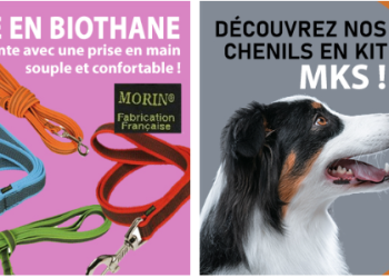 Morin France : L’Excellence dans l’Artisanat du Terroir Français