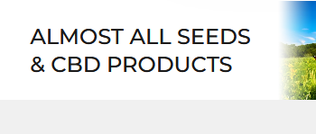 SensiSeeds – Pionier in der Welt der Cannabis-Samen