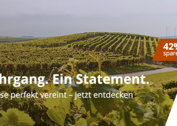 WirWinzer: Der Weg zu hochwertigen Weinen aus der Region