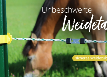 Loesdau – Hochwertige Reitsportausrüstung für jeden Bedarf