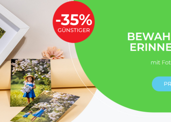 Was macht Colorland besonders? Ein umfassender Blick auf ihre einzigartigen Produkte und Services