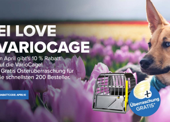 Kleinmetall: Hochwertige Sicherheitslösungen für Hunde und Fahrzeuge