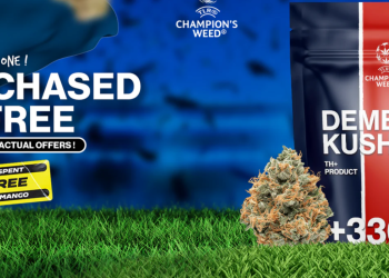 TealerLab: The Future of Wellness and Technology Combined