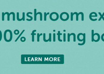 Together Health: Where Natural Supplements Meet Modern Wellness