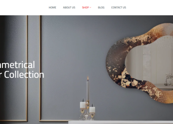 A Comprehensive Guide to LiveNDecor: What Makes Their Products Stand Out