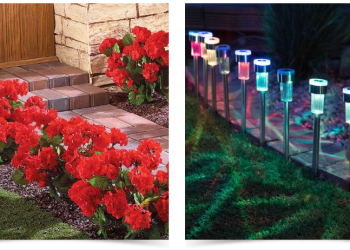 Why Easylife Stands Out in Everyday Essentials and Home Solutions