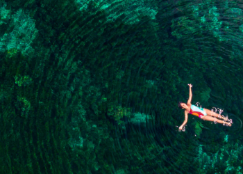 Meliá Hotels & Resorts: Redefining Luxury, Comfort, and Local Culture