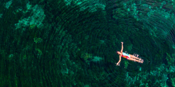 Meliá Hotels & Resorts: Redefining Luxury, Comfort, and Local Culture