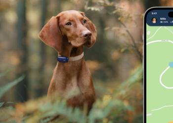 PetLink Store: Comprehensive Pet Identification and Safety Essentials