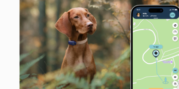 PetLink Store: Comprehensive Pet Identification and Safety Essentials