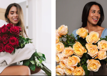 Rosaholics: Bringing the Beauty of Fresh Roses to Your Doorstep