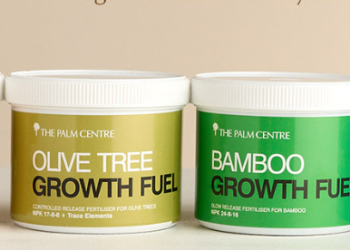 The Palm Centre: Transforming Outdoor Spaces with Exotic Elegance