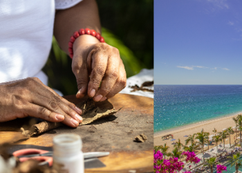 Discover the Distinctive World of TAFER Resorts