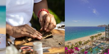 Discover the Distinctive World of TAFER Resorts