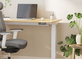 Ergonomie trifft Design – Arbeitskomfort mit FlexiSpot