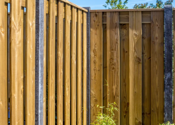 Intergard: De Expert in Tuinproducten en Tuinonderhoud