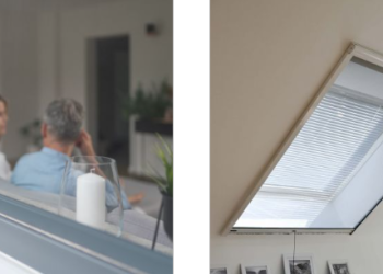 Insetto: Jouw Partner voor Effectieve Oplossingen Tegen Ongedierte