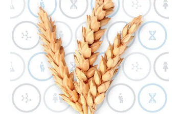 Alpha Biolabs: Quality Testing Solutions for Every Need