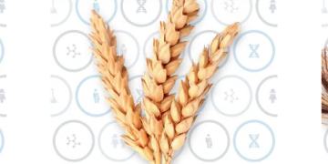 Alpha Biolabs: Quality Testing Solutions for Every Need