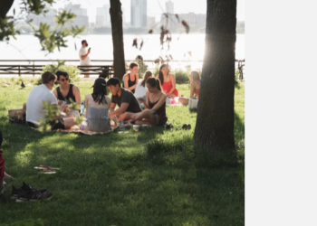 Why Sentia Is Gaining Popularity in the World of Alcohol Alternatives