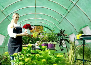 Quictent: Your Trusted Partner for Outdoor Shelters