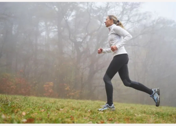 Supp: Elevating Wellness with Science-Backed Supplements