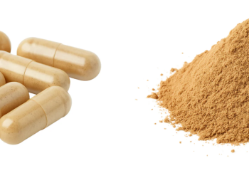 Pure Fungi: Elevating Wellness with Nature’s Power