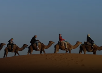 Understanding the Offerings of MyTrip