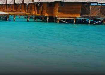 FlightNetwork: Your Trusted Travel Partner for Affordable Flights