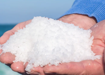 Cornish Sea Salt: Elevating Culinary Experiences with Hand-Harvested Purity