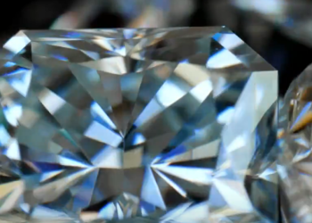 MOH London: Where Luxury Meets Timeless Elegance