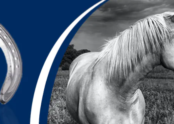 EasyTrim London: Premium Haircare for Men and Women