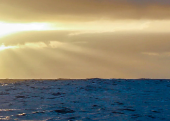 Enhancing Your Water Adventures with Waterworld Sports