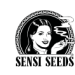 Sensiseeds: eccellenza nel mondo dei semi di cannabis