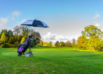 A Comprehensive Look at OnlyBirdies: What Makes the Brand Special