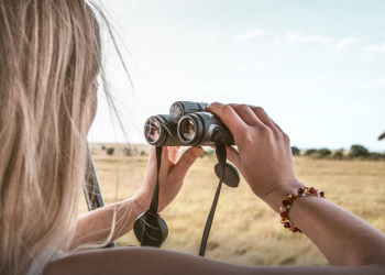 A Deep Look at Africa Safari Trips: What Makes the Brand Stand Out