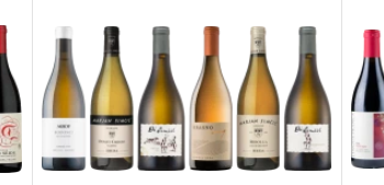 8Wines: A Deep Dive into Their Curated Wine World