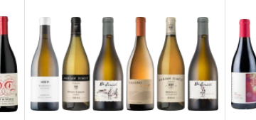 8Wines: A Deep Dive into Their Curated Wine World