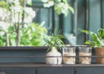 Craftsmanship and Character at Green Ivy