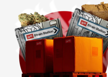 Quality CBD with a Trusted Community at Strain Station