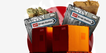 Quality CBD with a Trusted Community at Strain Station