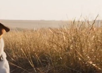 Doggy Vits: Premium Supplements for Healthy Dogs