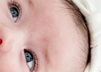 Townhouse Blankets: Luxury Comfort for Every Home